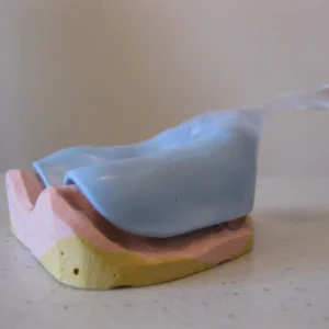 Custom tray