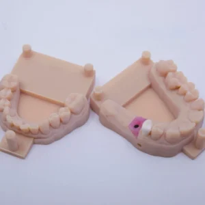 Model Printing (Full Arch or Quadrant)